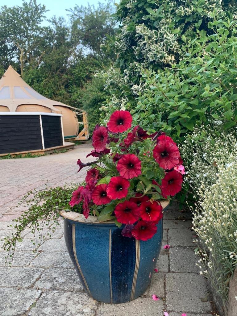 Romantic Luxus Glamping 1 Idestrup Extérieur photo